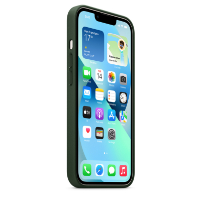 Чохол до моб. телефона Apple iPhone 13 Leather Case with MagSafe - Sequoia Green, Model A (MM173ZE/A)