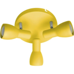 Споти